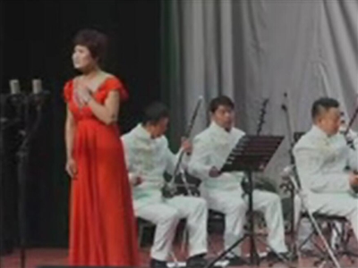 《泪洒相思地》选段“一失足成千古恨”