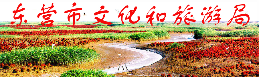 东营市文化和旅游局